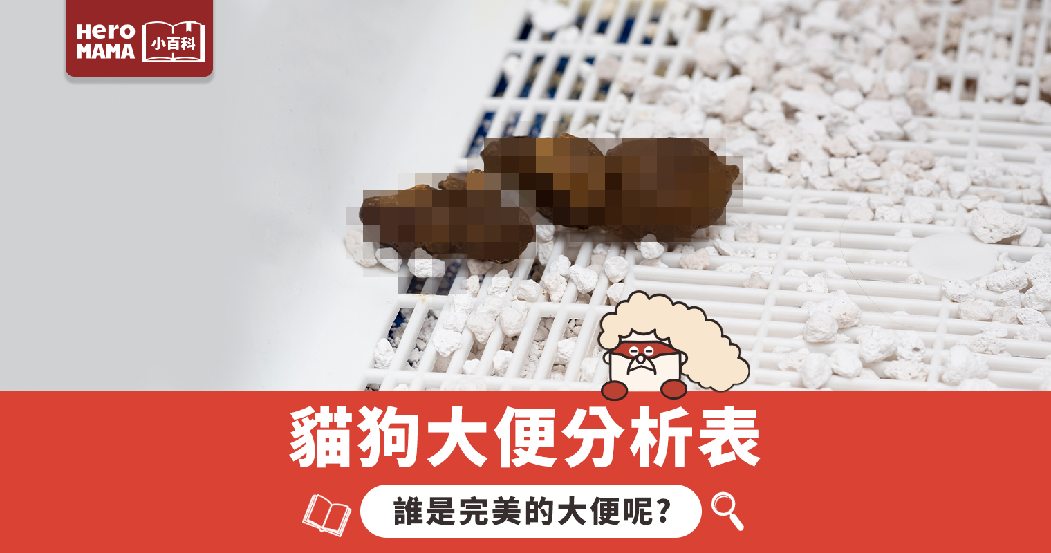 貓狗大便狀態分析圖,圖解各種便便可能原因?屎藏潛在問題? - HeroMama