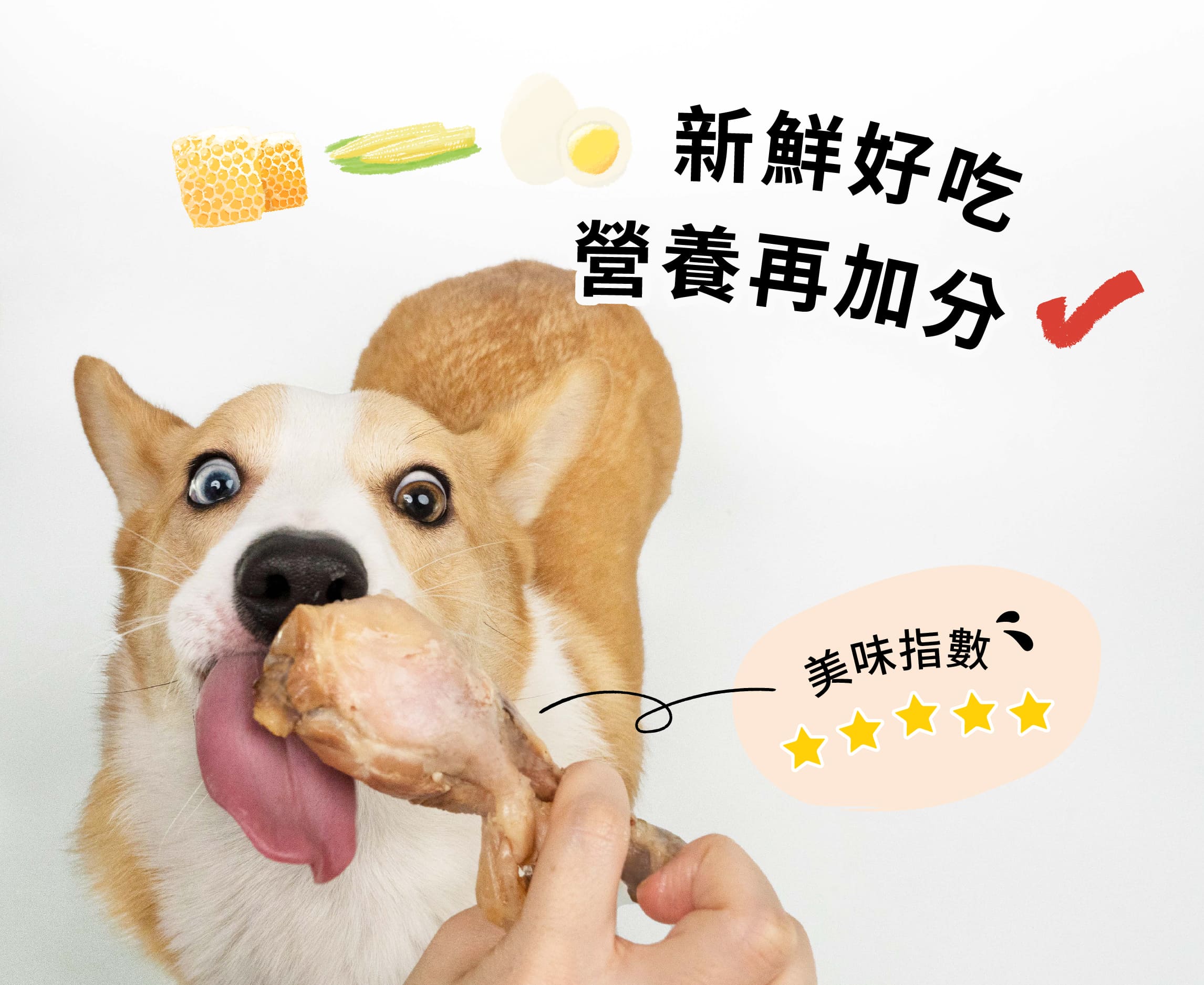 <b>機能食材入菜，營養滿分！</b><b> </b> ▸完全去皮，清爽不油膩 ▸真空常溫保存，開封即食 ▸內含高壓燉煮脆骨 (建議陪同進食，避免毛孩吞噎) ☑0%鹽、0%色素、0%防腐劑 ☑HACCP、ISO22000安心雙認證