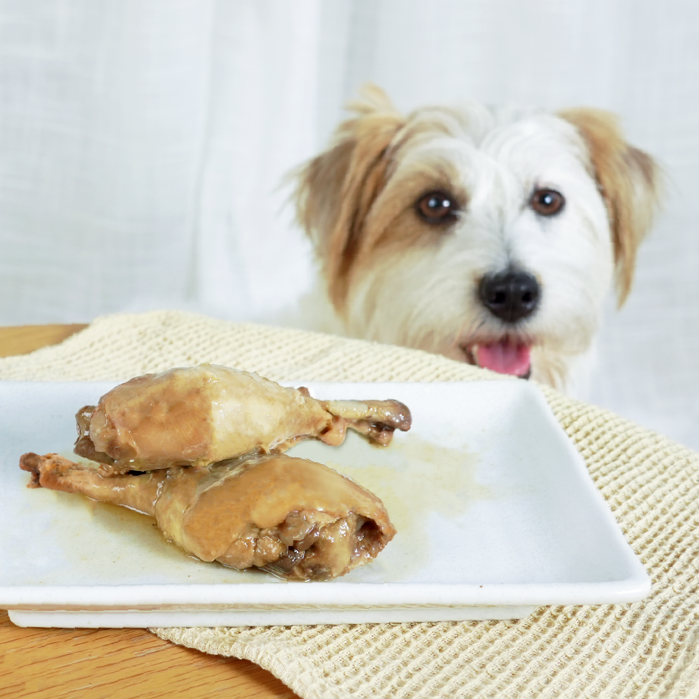 蒸鮮雞腿 犬貓零食