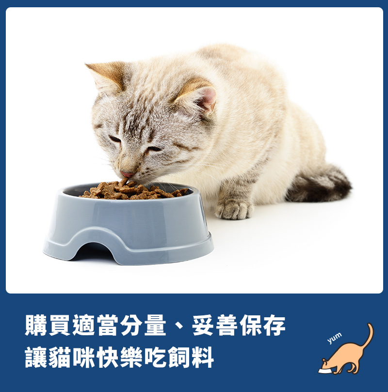 貓飼料、飼料、飼料保存