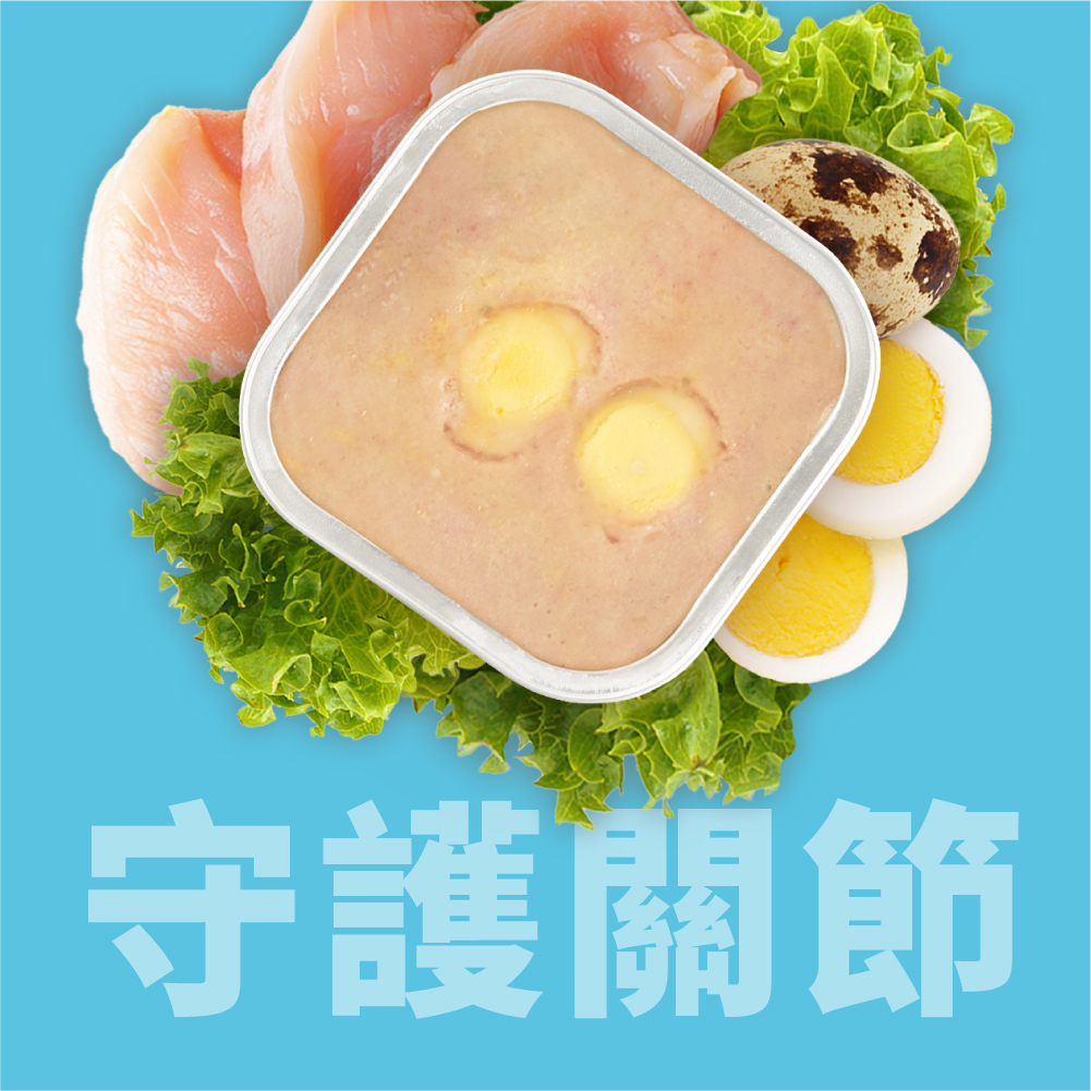 狗狗機能鮮食 狗狗餐盒 狗副食餐盒 狗便當餐盒