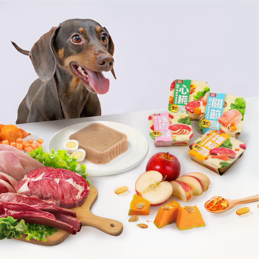 狗狗機能鮮食 狗狗餐盒 狗副食餐盒 狗便當餐盒