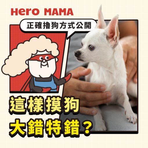 不要直接摸狗頭!狗狗喜歡被摸哪裡?3招取得信任 - HeroMama