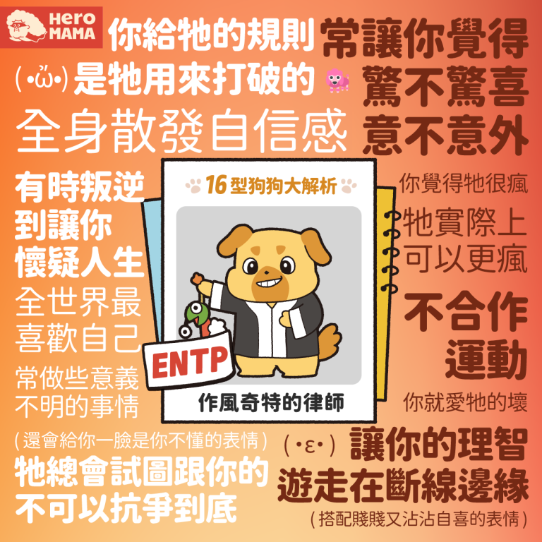 貓狗專屬MBTI心理測驗!狗狗版E型篇 - HeroMama