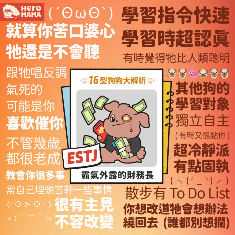 貓狗專屬MBTI心理測驗!狗狗版E型篇 - HeroMama
