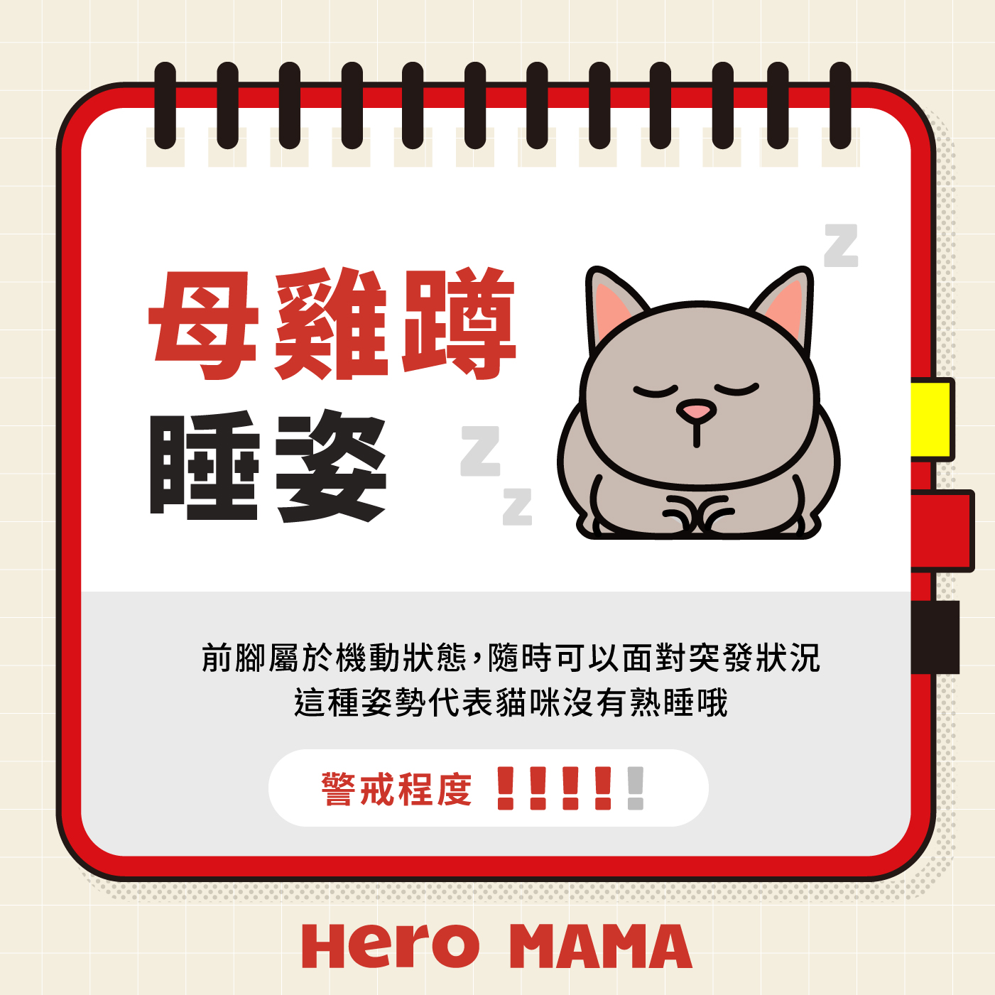 貓咪睡姿大解密！翻肚、蹲睡、壓你肚子，5種可愛睡姿背後藏著什麼心情？ - HeroMama