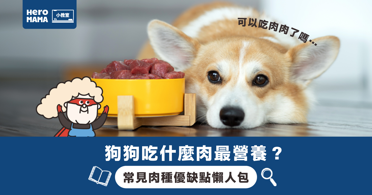 感謝台灣同學的課後感🇹🇼🙏🏻 狗狗用身體語言跟我們及外界溝通身體語言反映牠們的情緒狀態人狗之間相處出了問題，並非狗狗本身有問題，而是狗主對狗狗 理解不足，引發出來的「問題」, image size:1521x801