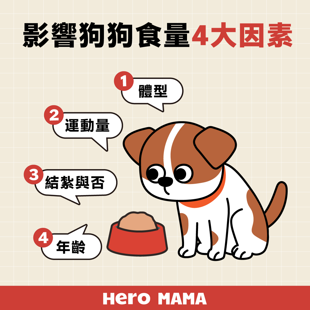 终于找到了！嬉皮狗秋冬季保暖人狗猫窝懒人沙发怎么搭？求求你快看！！！🤩_保暖服装_淘宝服装网, image size:1041x1041