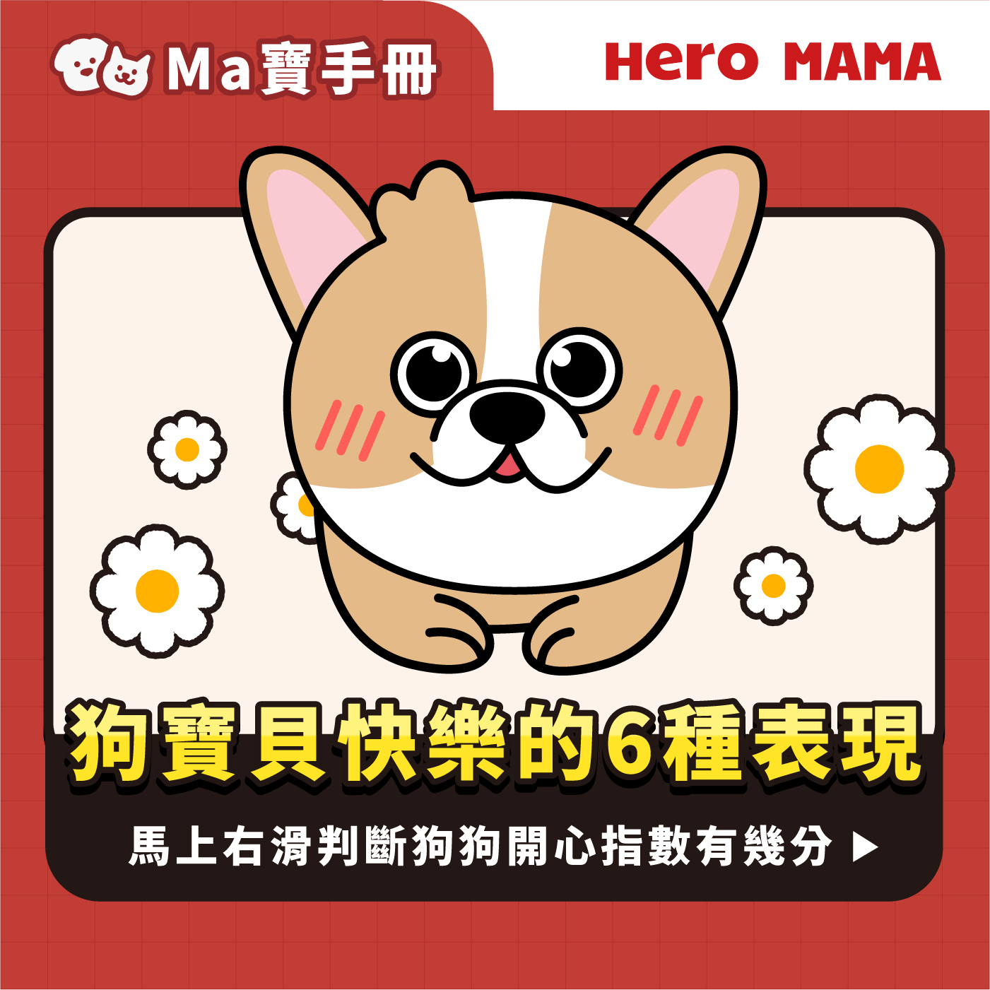 我邻居家的狗咬死了我的小宝贝们，我现在感觉糟透了。你能给我看看你的宝贝的照片吗？ : r/duck, image size:1401x1401