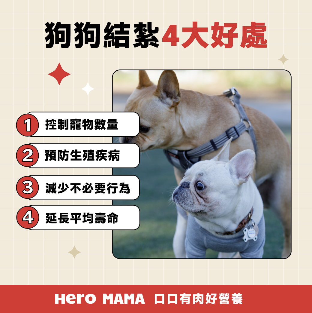 狗狗結紮費用？結紮時間？狗狗絕育術後護理懶人包！ - HeroMama