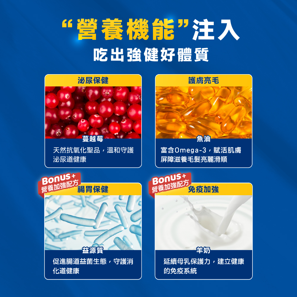 貓迷你罐 貓罐頭 貓主食罐 貓罐頭推薦 貓迷你主食罐