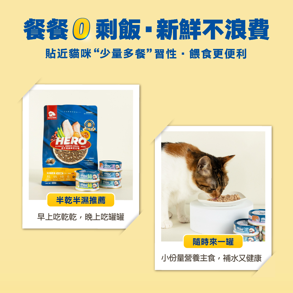 貓迷你罐 貓罐頭 貓主食罐 貓罐頭推薦 貓迷你主食罐