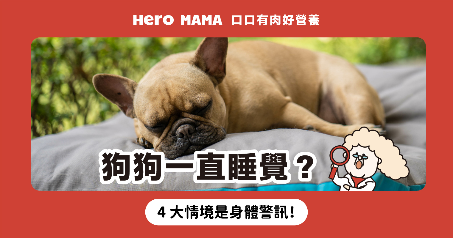 感动全网！重庆一独居老人去世多日，小狗守在家中瘦成皮包骨, image size:1521x801