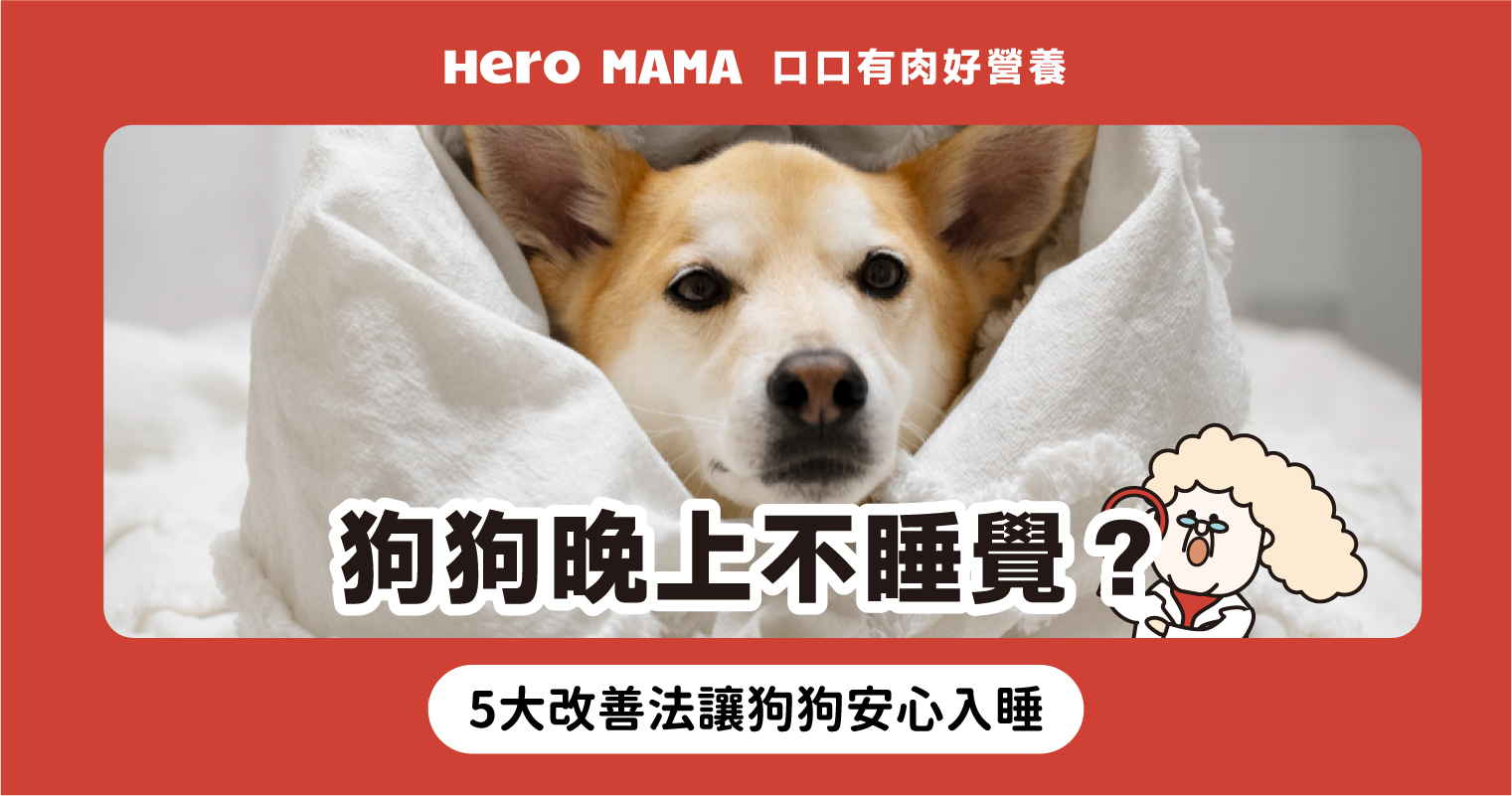 狗狗半夜不睡覺一直走來走去？9大原因與解決方式一次看- HeroMama