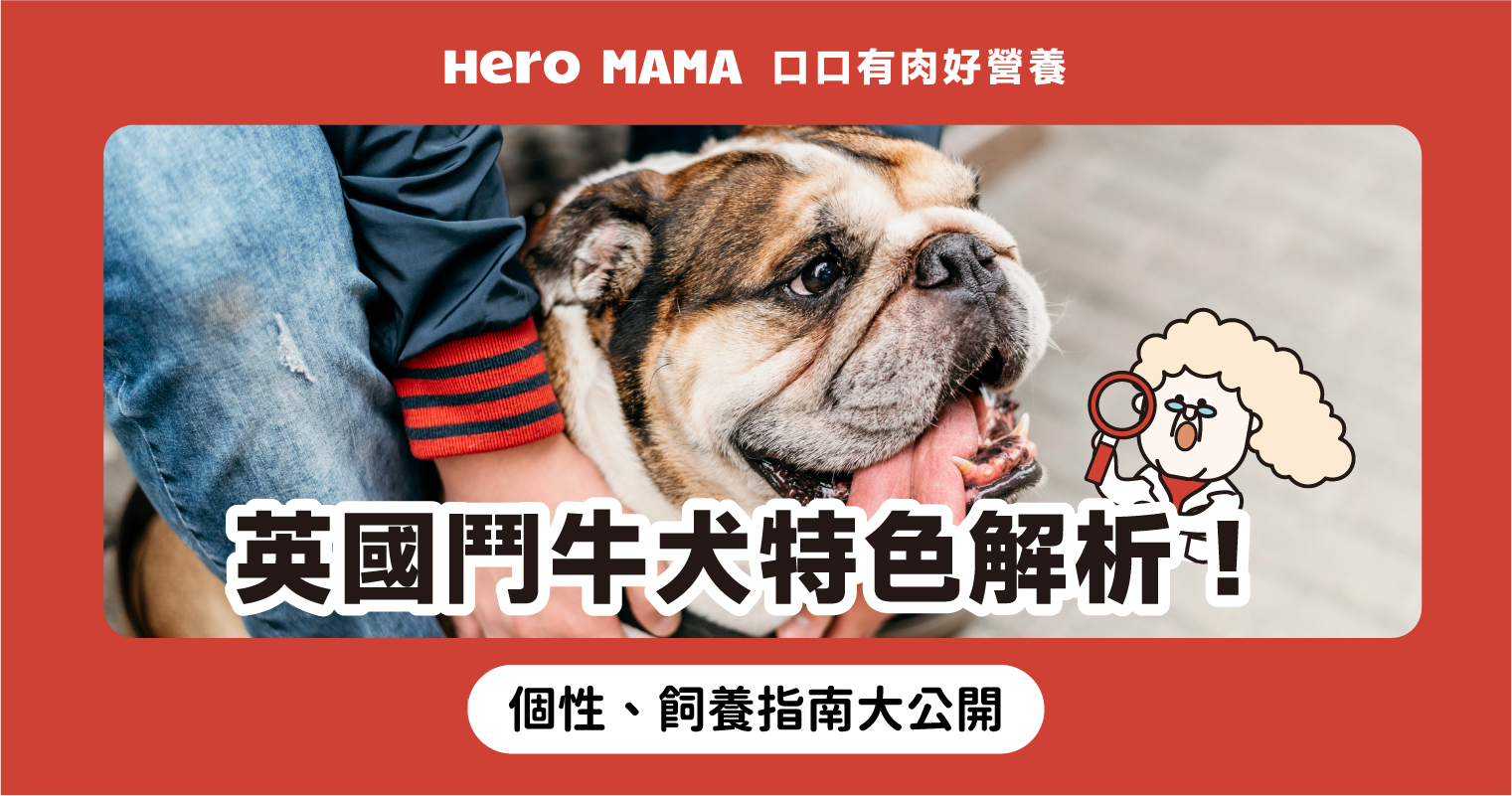 英国斗牛犬- 免费3D 打印模型- MakerWorld, image size:1521x801