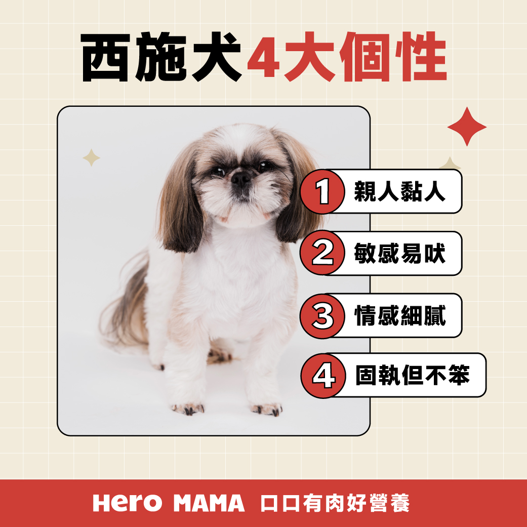西施犬好養嗎？西施狗個性、智商與照顧一次看懂！ - HeroMama