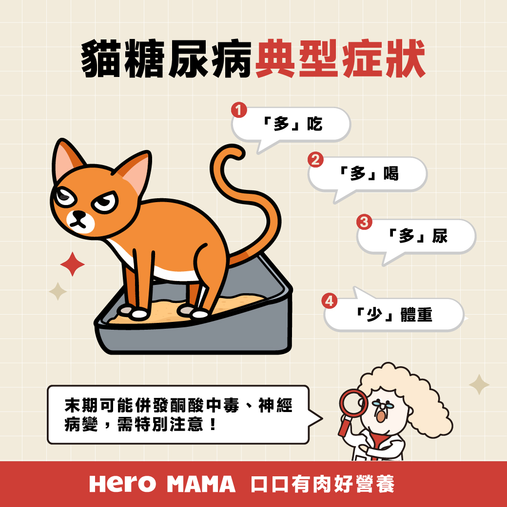 貓糖尿病會好嗎？注意「3多1少」症狀，控制飲食維持生活- HeroMama