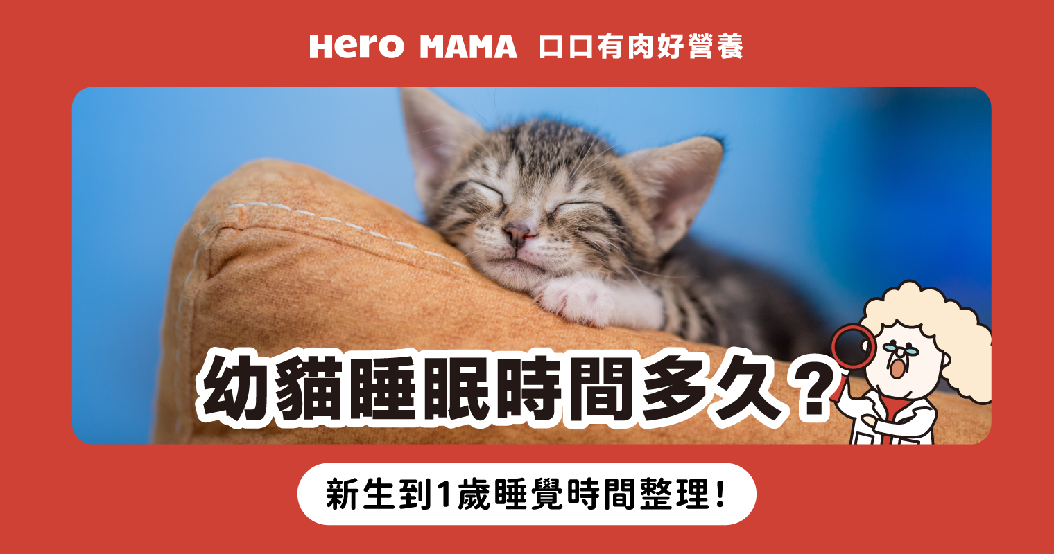 幼貓睡眠時間多久？幼貓一天睡多久？了解幼貓睡覺時間一覽表！ - HeroMama