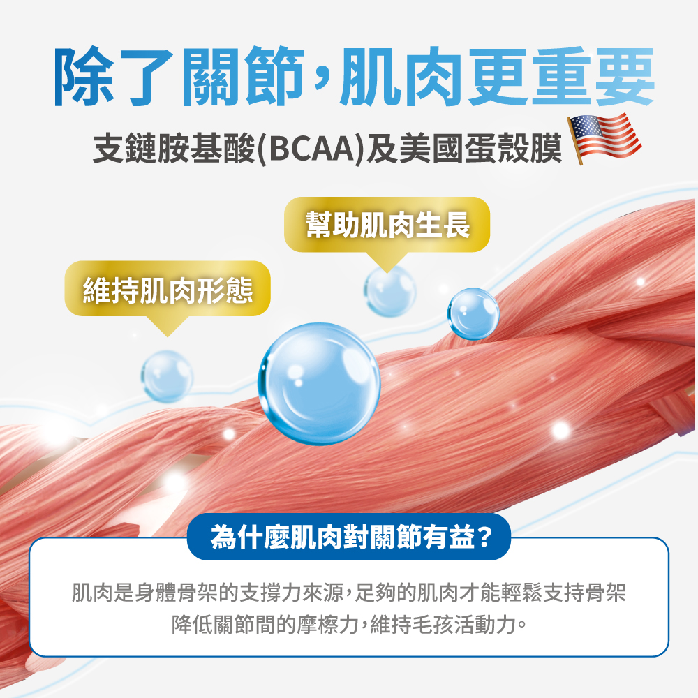 LickableSupplements(Joints)_SP_10