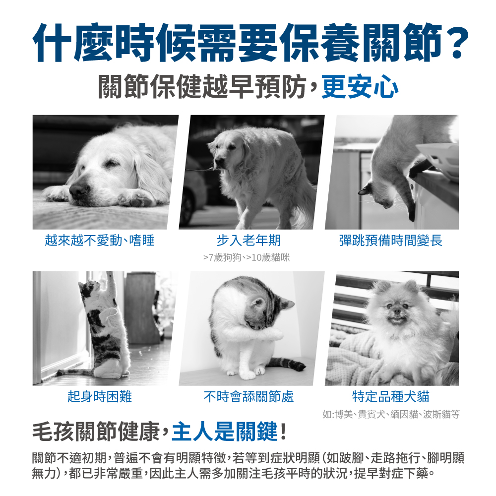 LickableSupplements(Joints)_SP_3