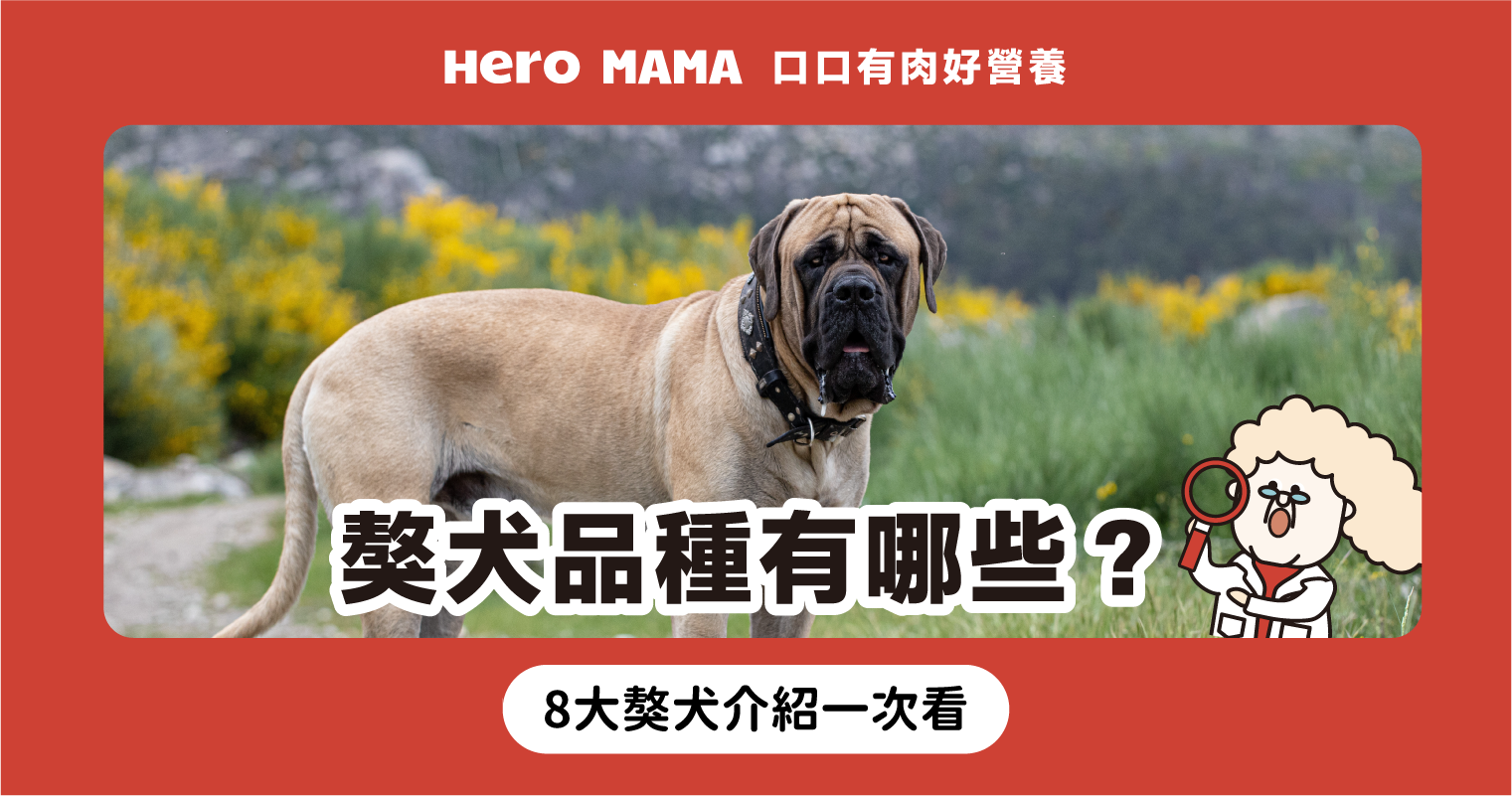 獒犬品種有哪些？8 大獒犬介紹：藏獒、沙皮狗個性一次看- HeroMama, image size:1521x801
