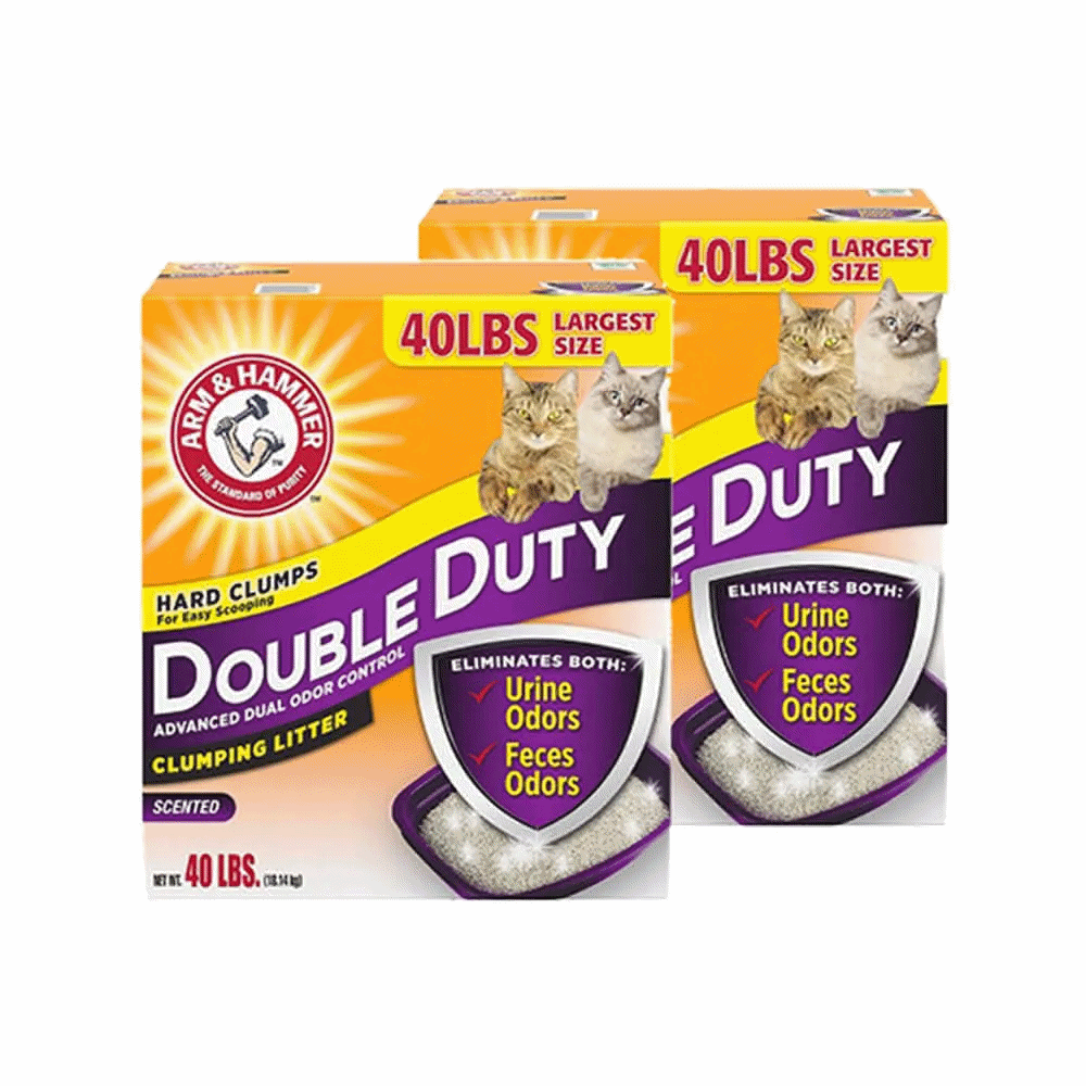 貓咪心理學】貓咪愛你的十大表現是這樣的! - 我怕世界沒有貓, image size:1000x1000