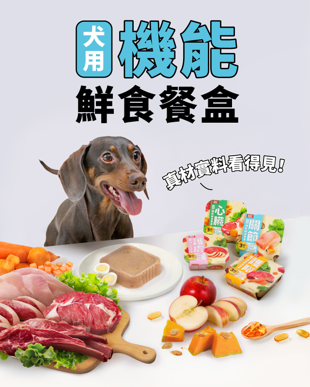 狗狗機能鮮食 狗狗餐盒 狗副食餐盒 狗便當餐盒