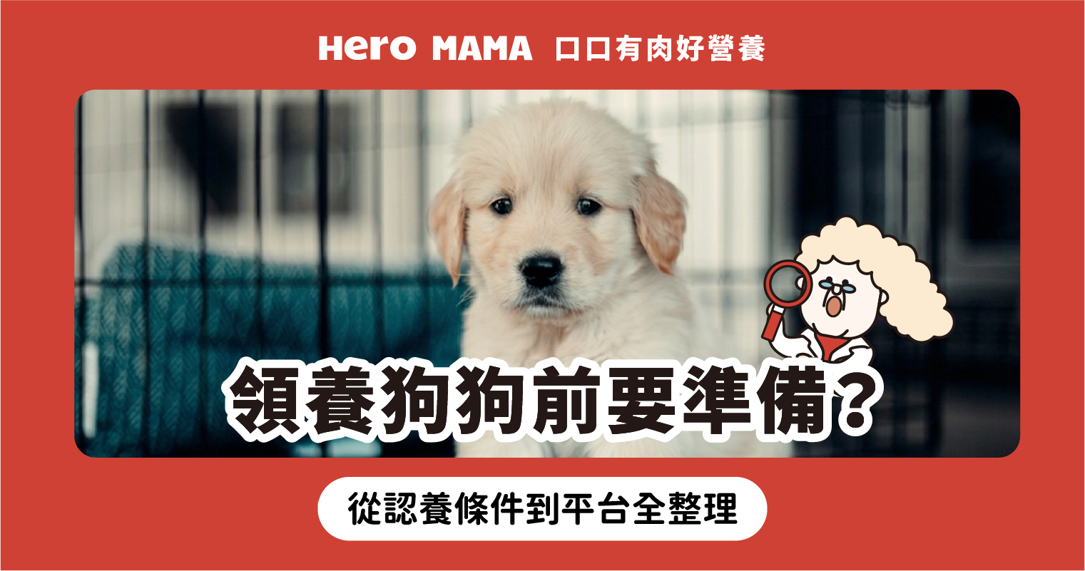 領養狗狗前要準備？從認養條件到平台全整理，給浪浪溫暖的家！ - HeroMama
