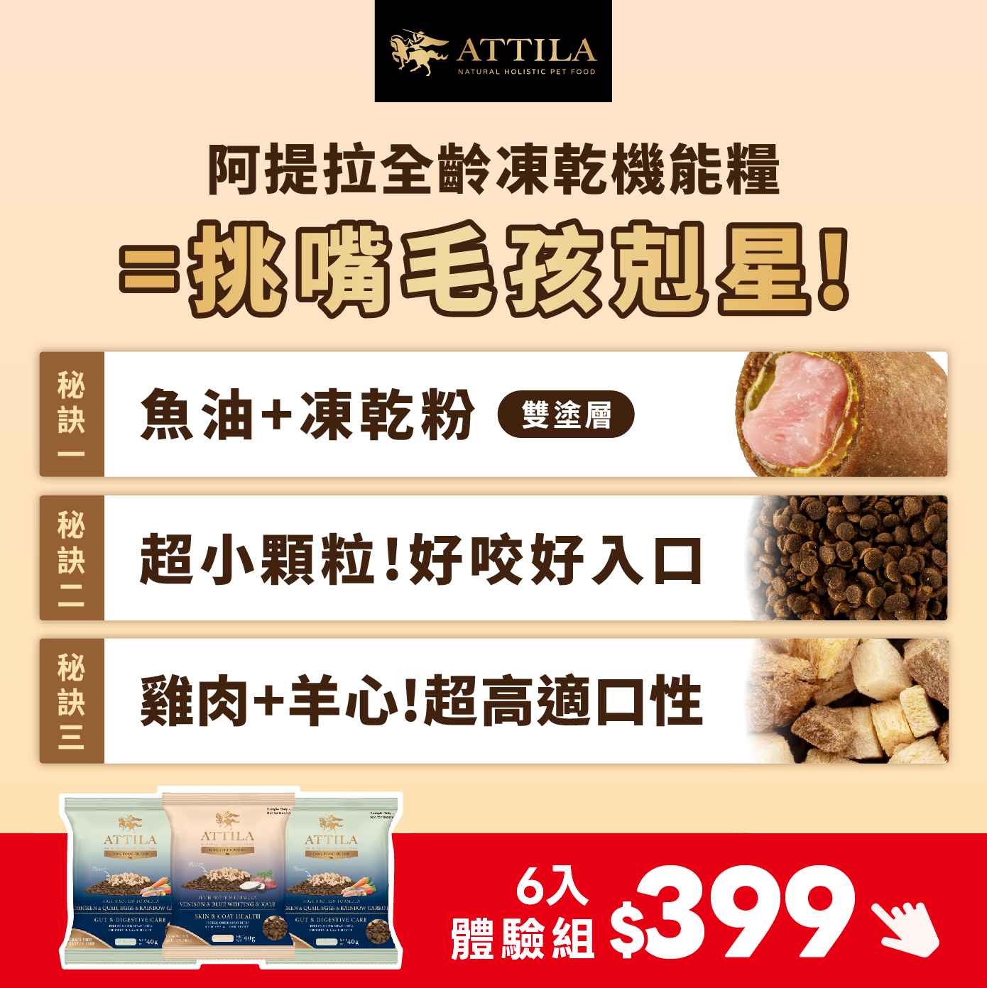 阿提拉 凍乾機能糧 好吃秘訣 6入體驗組優惠 阿提拉 凍乾機能糧 好吃秘訣 6入體驗組優惠