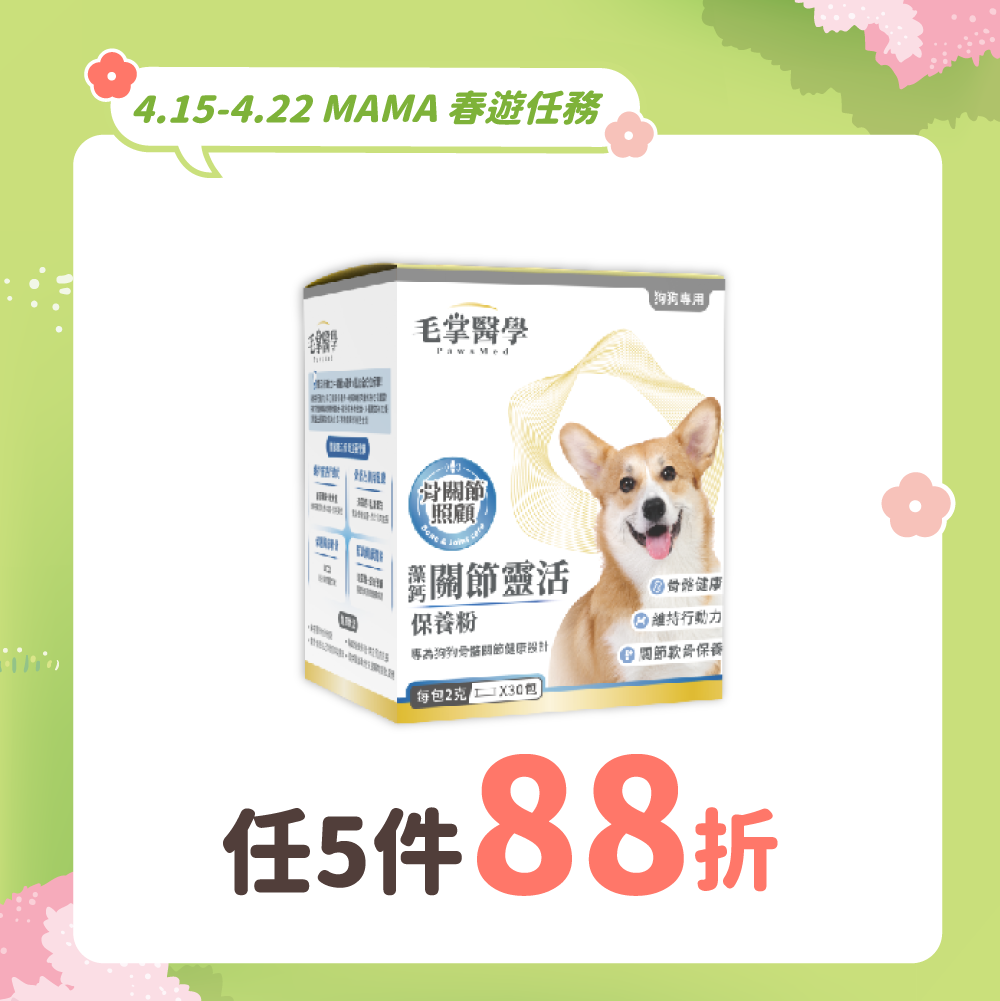 2026春遊任務_台_狗關節