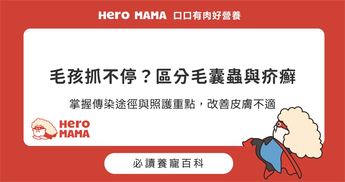 毛囊蟲與疥癬如何區分？傳染途徑與日常照護觀察重點