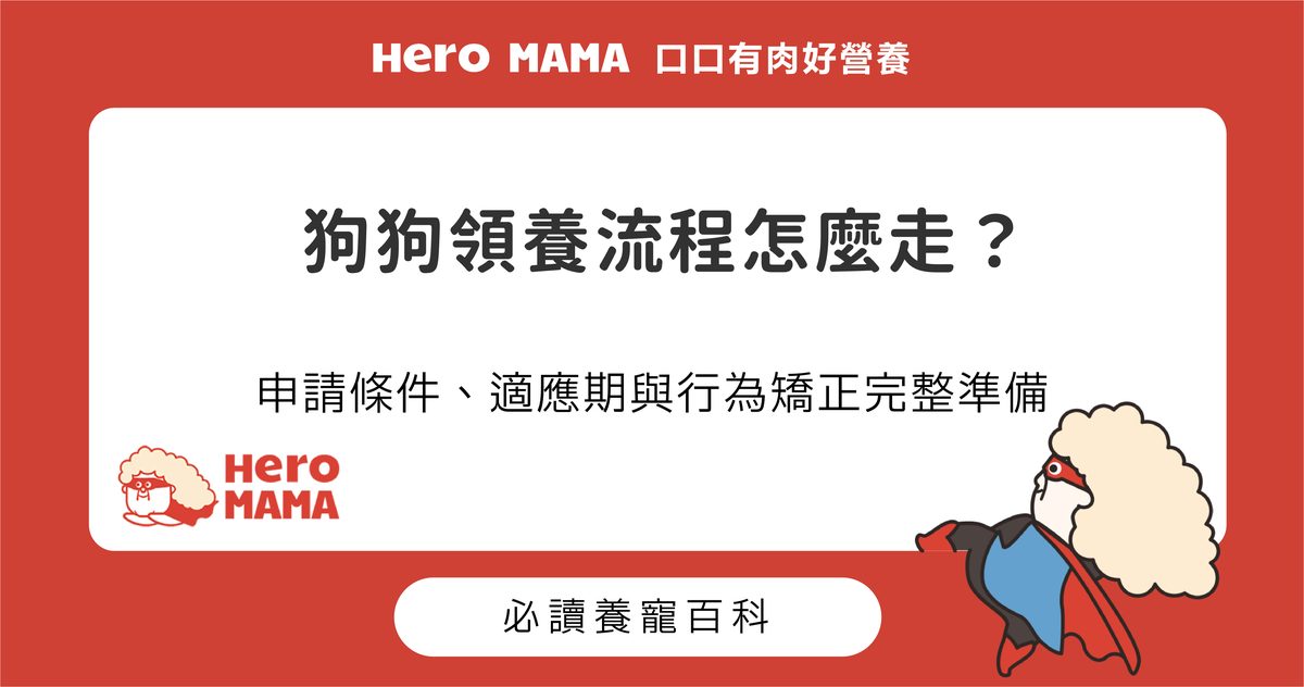 狗狗領養流程怎麼走？申請條件、適應期與行為矯正完整準備