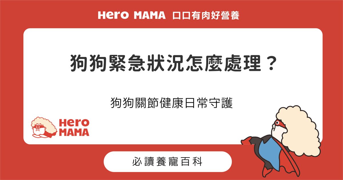 狗狗緊急狀況怎麼處理？狗狗關節健康日常守護