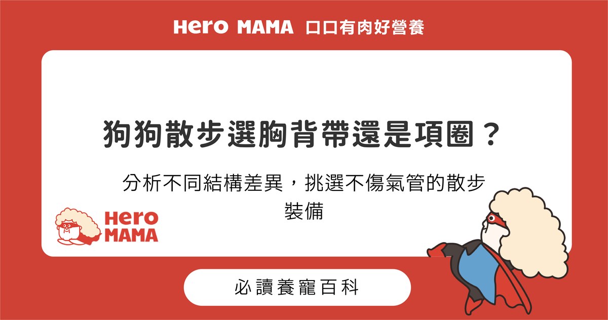 狗胸背帶與項圈哪個好？結構差異分析與挑選尺寸要點