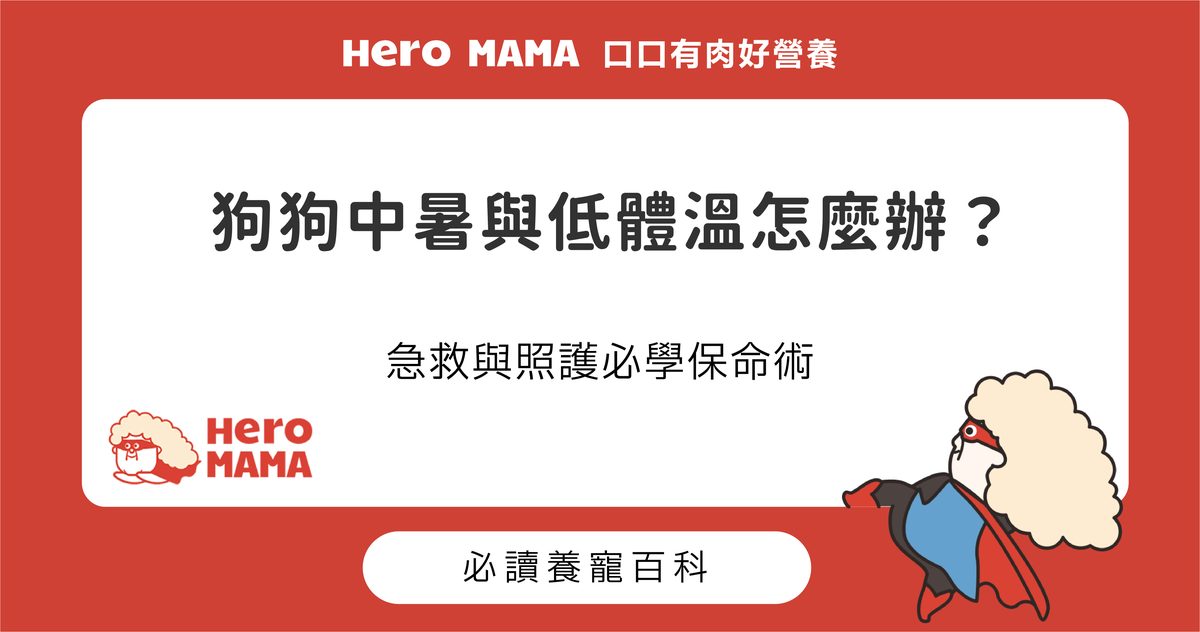 狗狗中暑與低體溫怎麼辦？急救與照護必學保命術