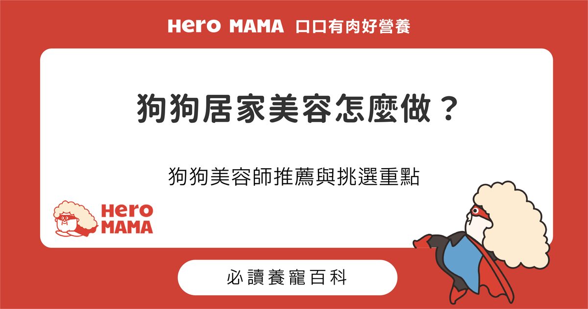 狗狗居家美容怎麼做？狗狗美容師推薦與挑選重點