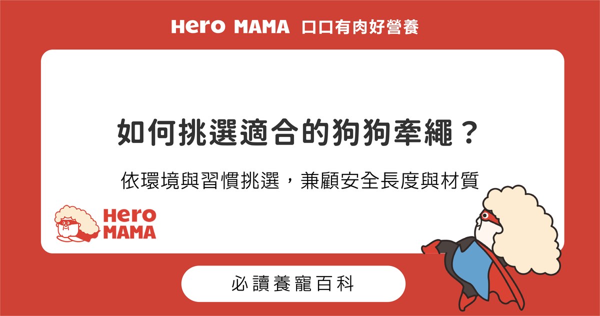 如何挑選狗狗牽繩？分析常見種類優缺點與安全長度建議