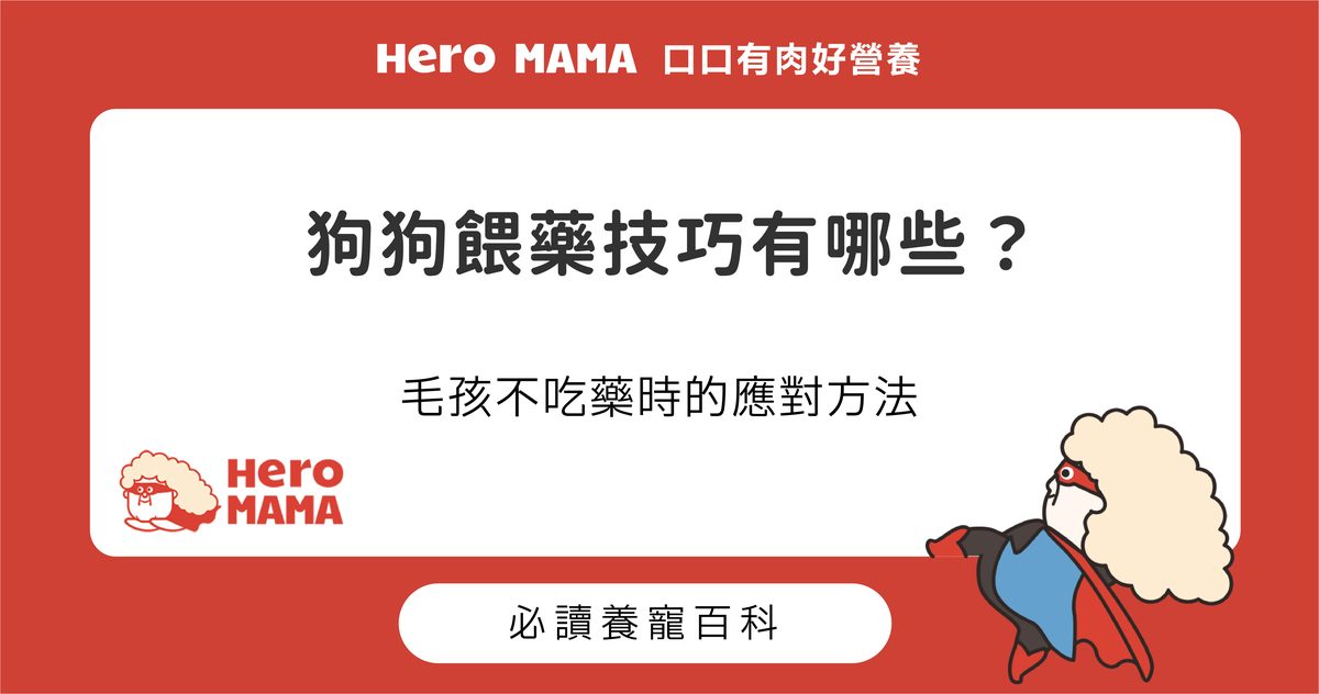 狗狗餵藥技巧有哪些？毛孩不吃藥時的應對方法