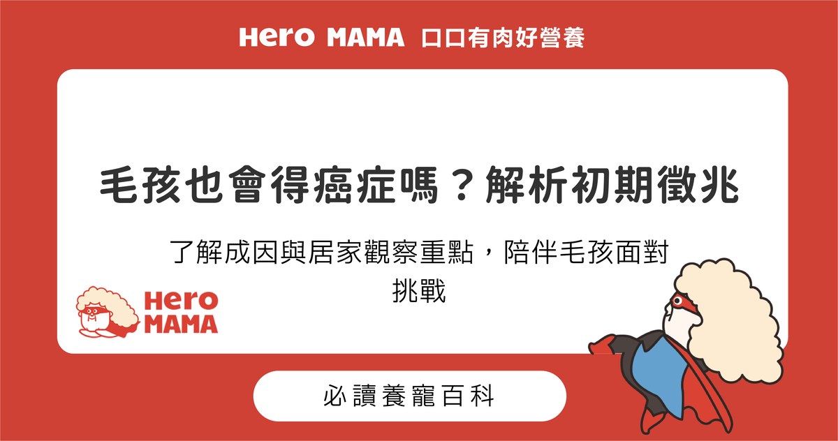 狗狗貓咪也會得癌症嗎？認識寵物腫瘤徵兆與日常照護建議