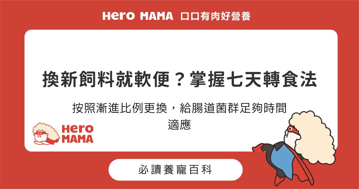 貓狗換飼料注意事項：七天漸進式轉食比例與軟便應對