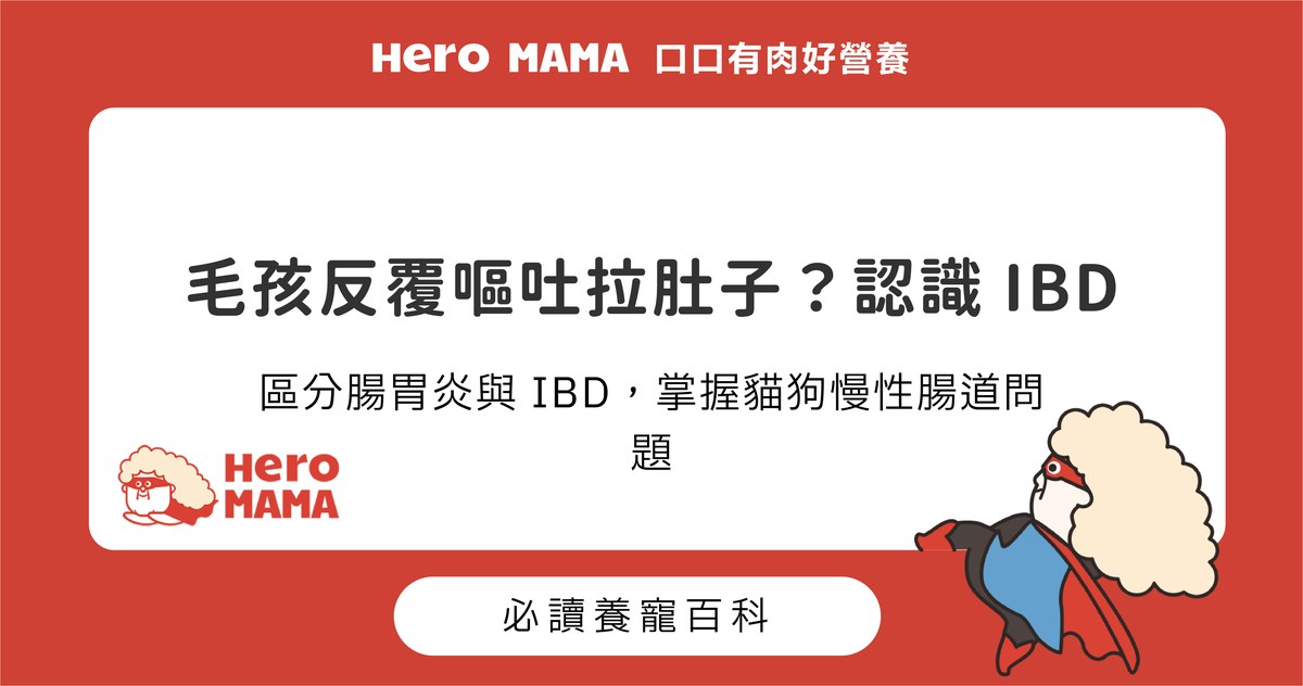 貓狗發炎性腸病 IBD 徵兆有哪些？慢性嘔吐拉肚子的日常管理