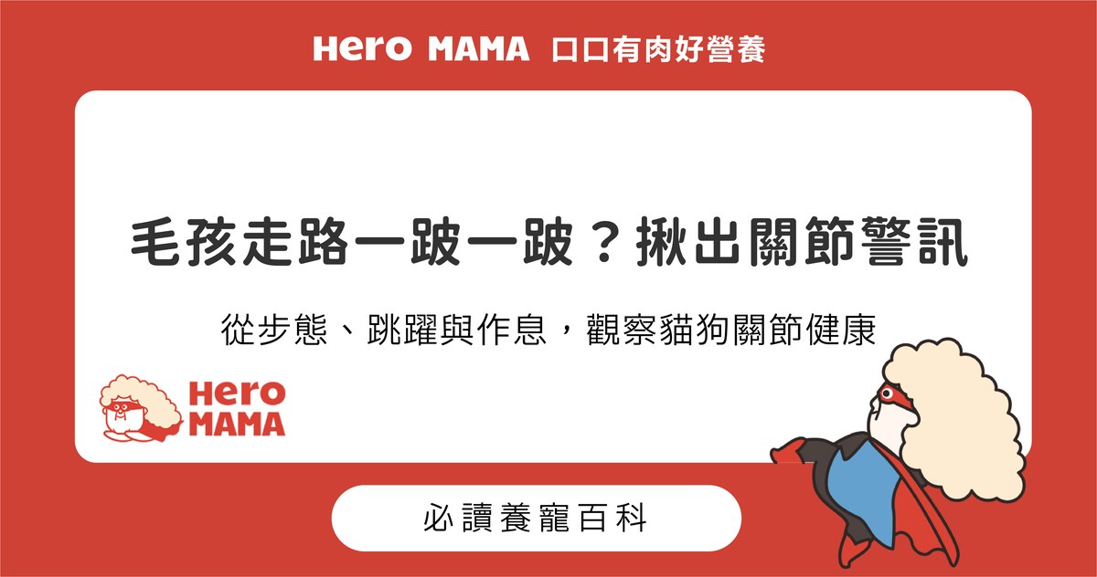 貓狗關節不適怎麼辦？觀察活動徵兆與日常保養重點