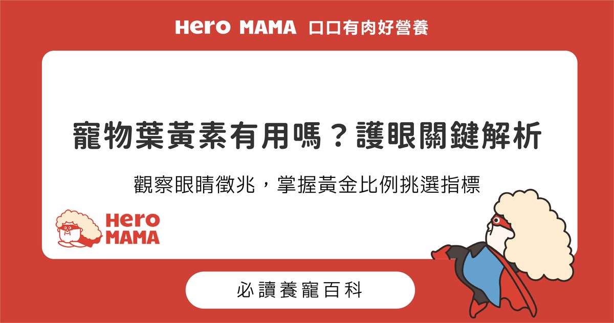 寵物葉黃素有用嗎？貓狗眼部保健與成分挑選建議
