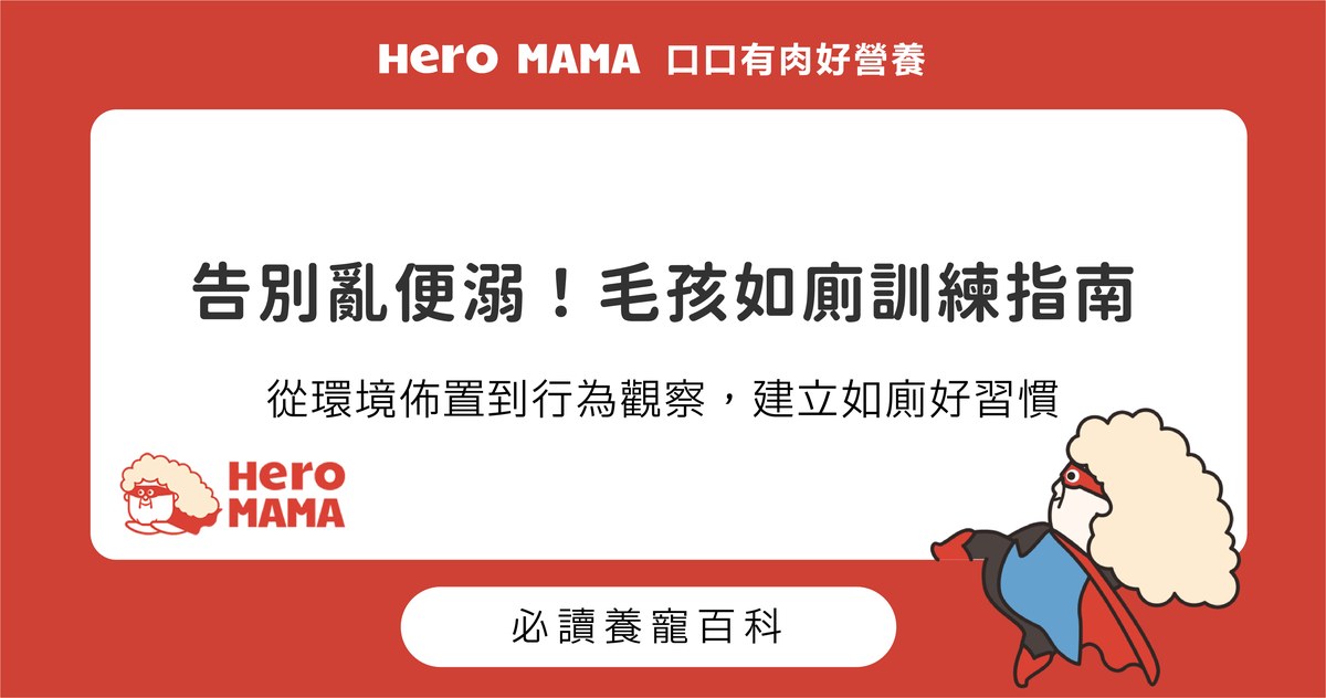 如何引導毛孩定點大小便？環境佈置與如廁徵兆引導步驟