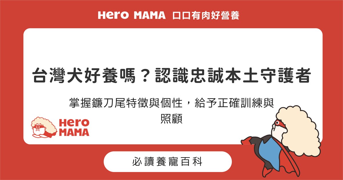 台灣犬好養嗎？分析外型特徵、個性與訓練照顧建議