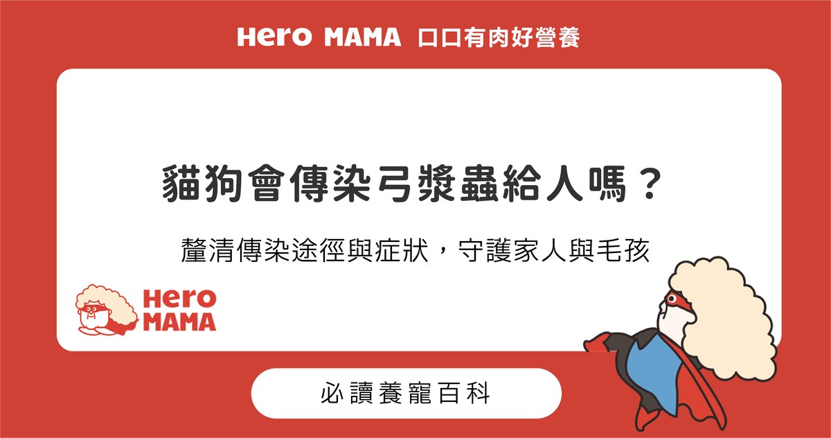貓狗弓漿蟲症狀有哪些？釐清傳染途徑與懷孕養貓觀念