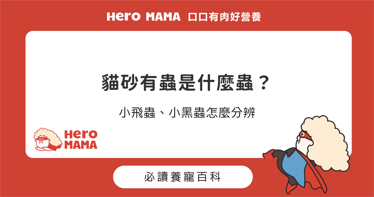 貓砂有蟲是什麼蟲？小飛蟲、小黑蟲、砂袋裡的蟲怎麼分辨