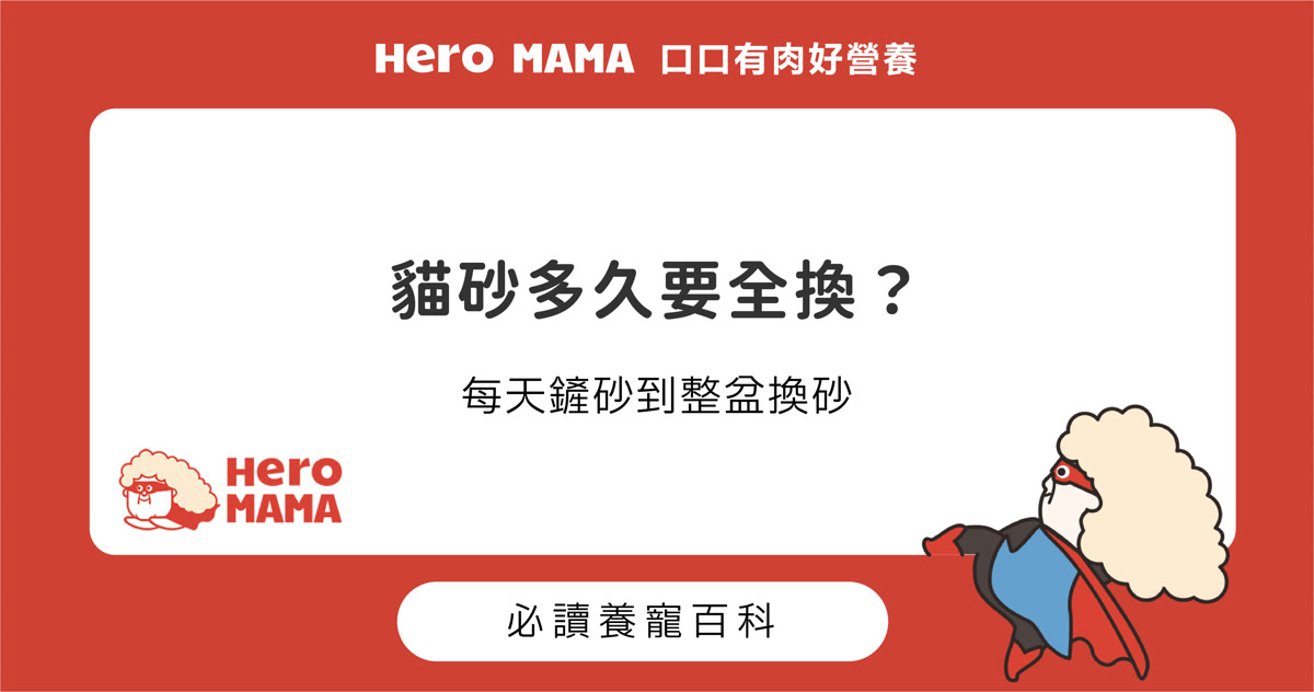 貓砂多久要全換、多久清一次？每天鏟砂到整盆換砂的流程