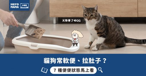 狗狗痾軟便點算好?軟便原因全拆解!7種狗狗大便形態,新手狗主必睇懶人包 - HeroMama (HK)