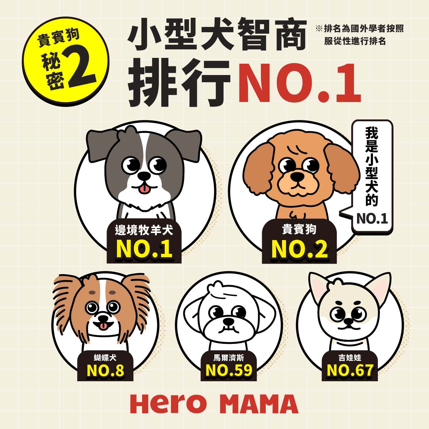 貴婦狗介紹：玩具、迷你、標準點樣分？性格、智商及照顧優缺點- HeroMama (HK)